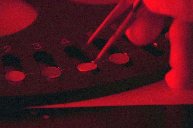 Samples loaded into a optically stimulated luminescence machine