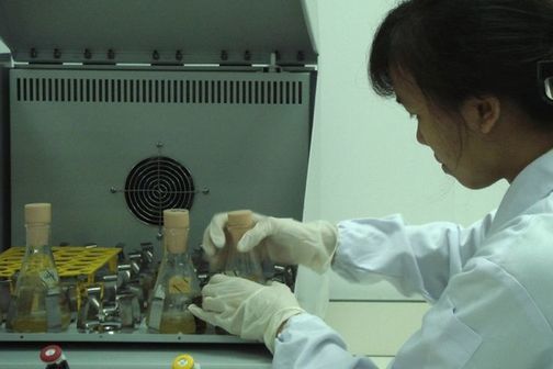 Scientist growing E. coli in the lab.