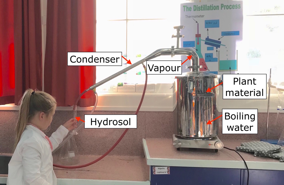 Labeled Steam distillation unit with female student Toko School