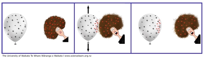 Diagram showing what happens when a balloon is rubbed on hair. 