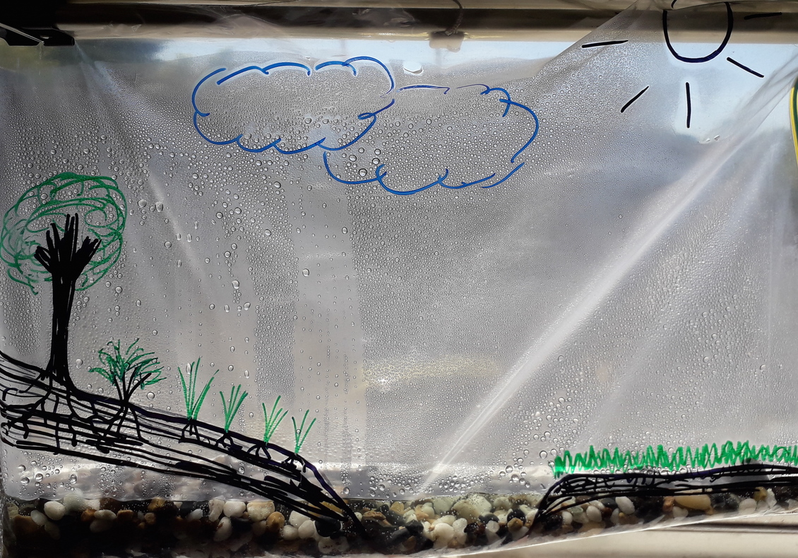 Image of how to Make a water cycle model.