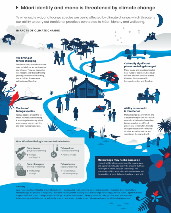 Infographic of impacts climate change poses to Māori traditions.