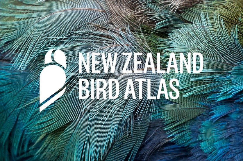 Logo of the New Zealand Bird Atlas citizen science project