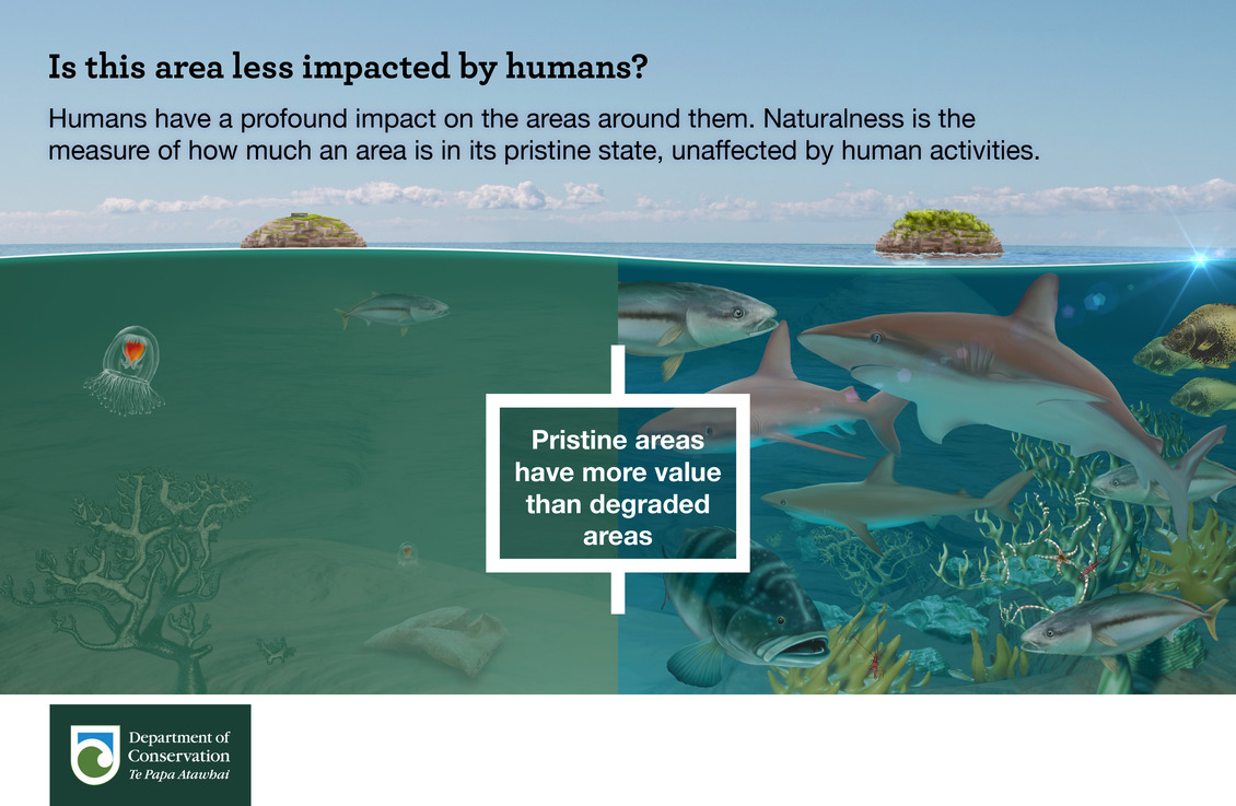 Is this area less impacted by humans? infographic