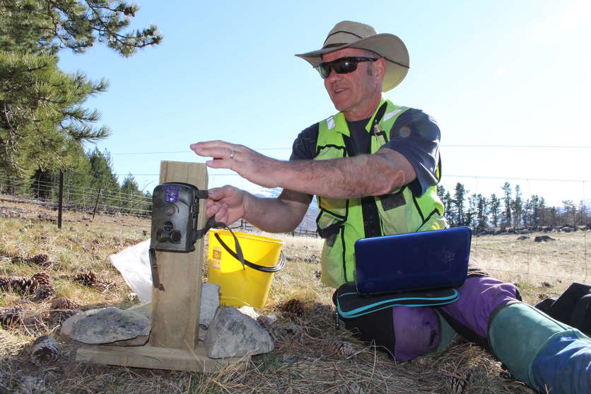 Dr Grant Norbury preparing a camera trap at Tekapo