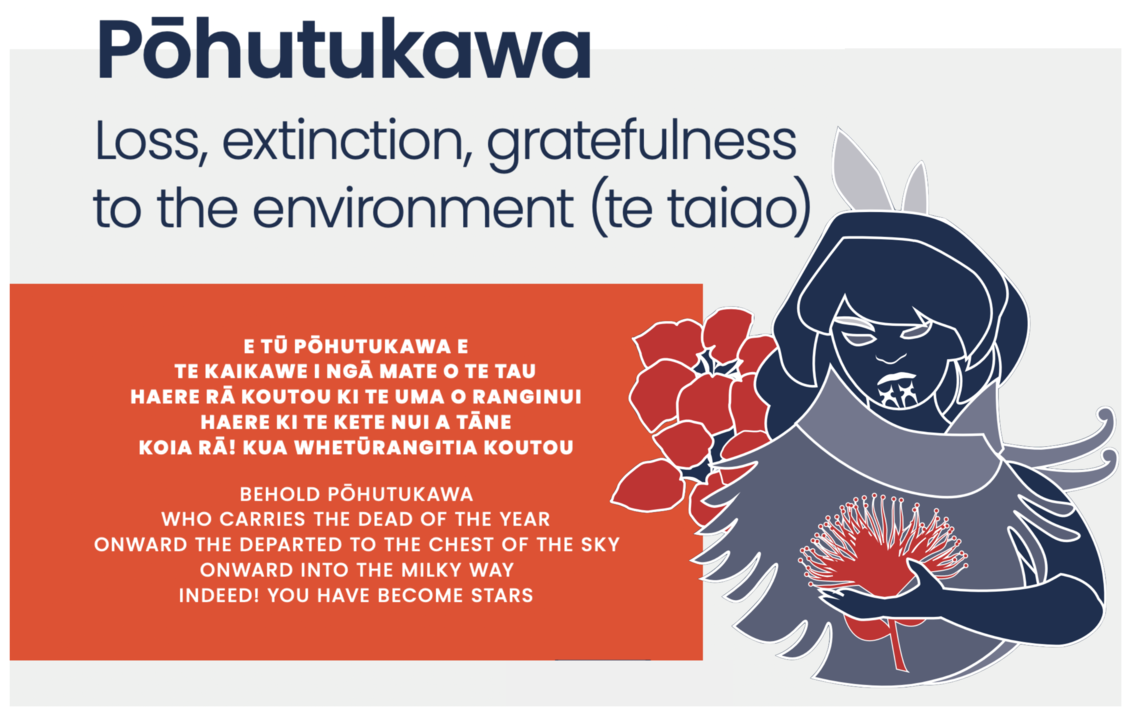Illustration of Pōhutukawa from Environment Aotearoa 2022.