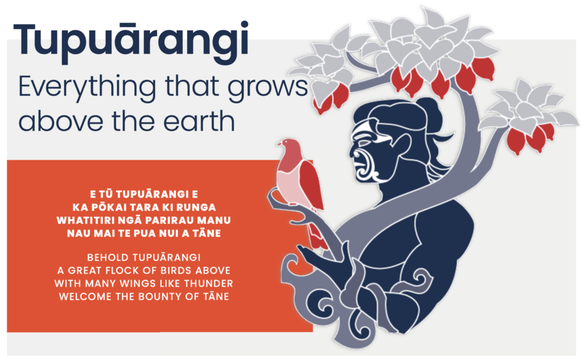 Tupuārangi is associated with food and growth above the ground.