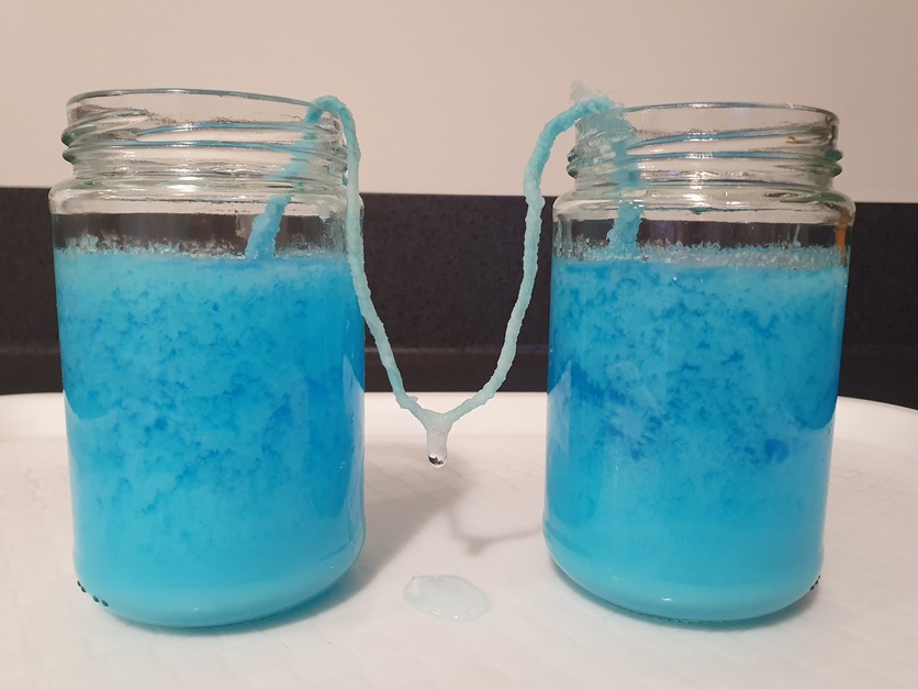 Two jars holding a salt solution with a string between them 
