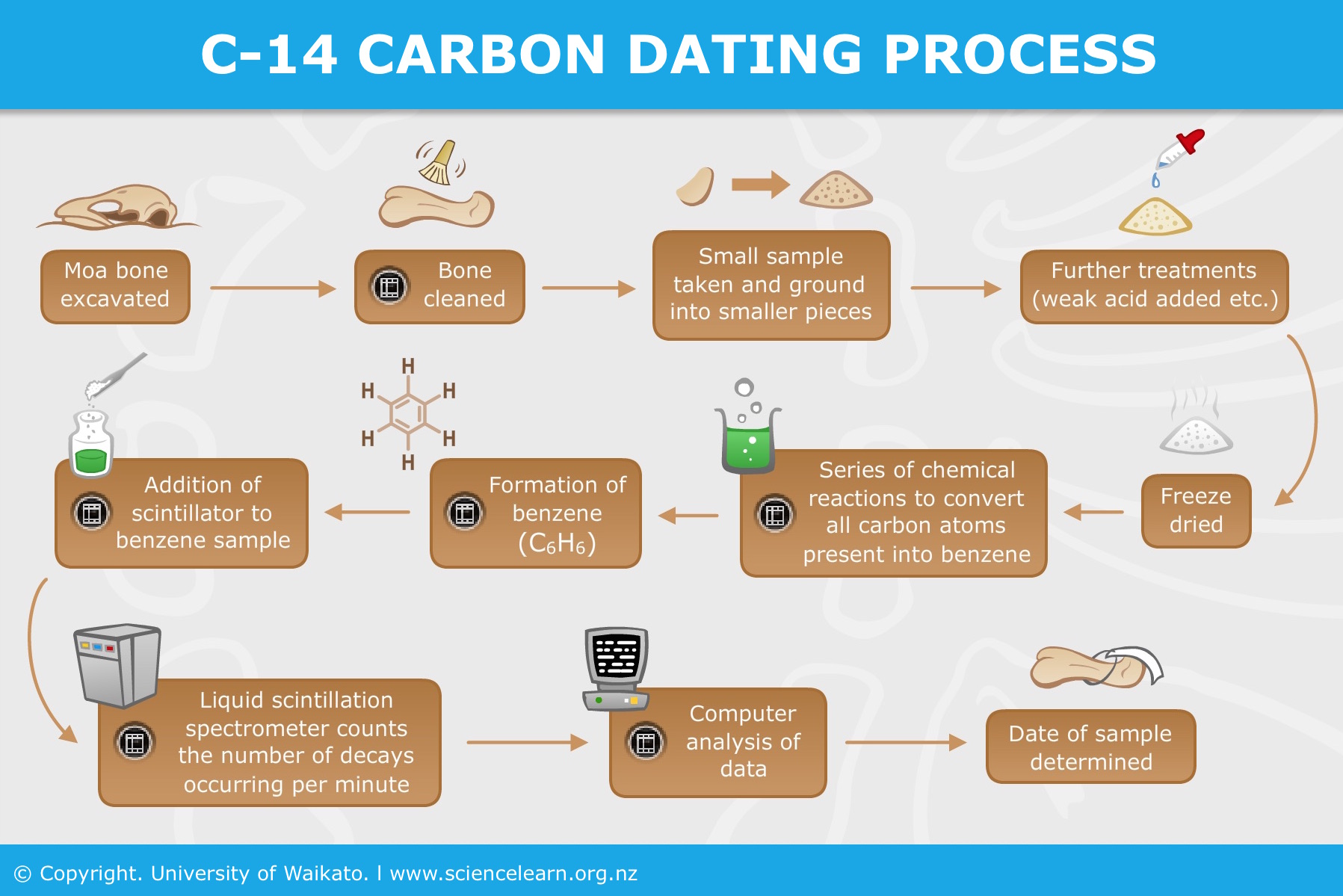 C-14 carbon dating process — Science Learning Hub