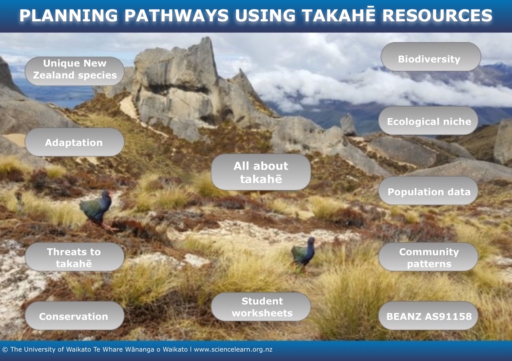 Image map interactive featuring takahē resources