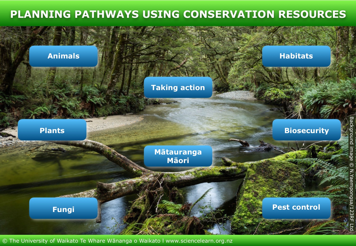 Planning pathways using conservation resources — Science Learning Hub