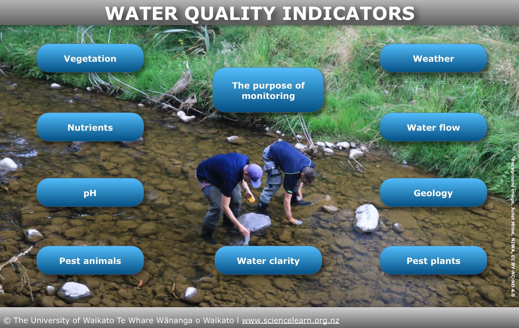 Water quality indicators — Science Learning Hub