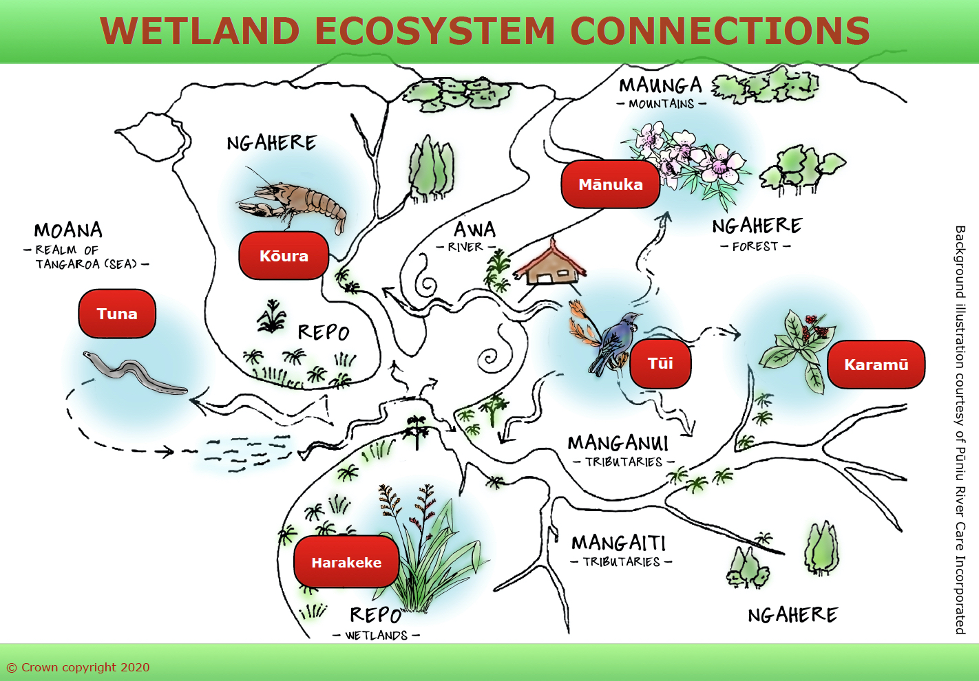 Interactive image map on Aotearoa New Zealand Wetland ecosystem connections.