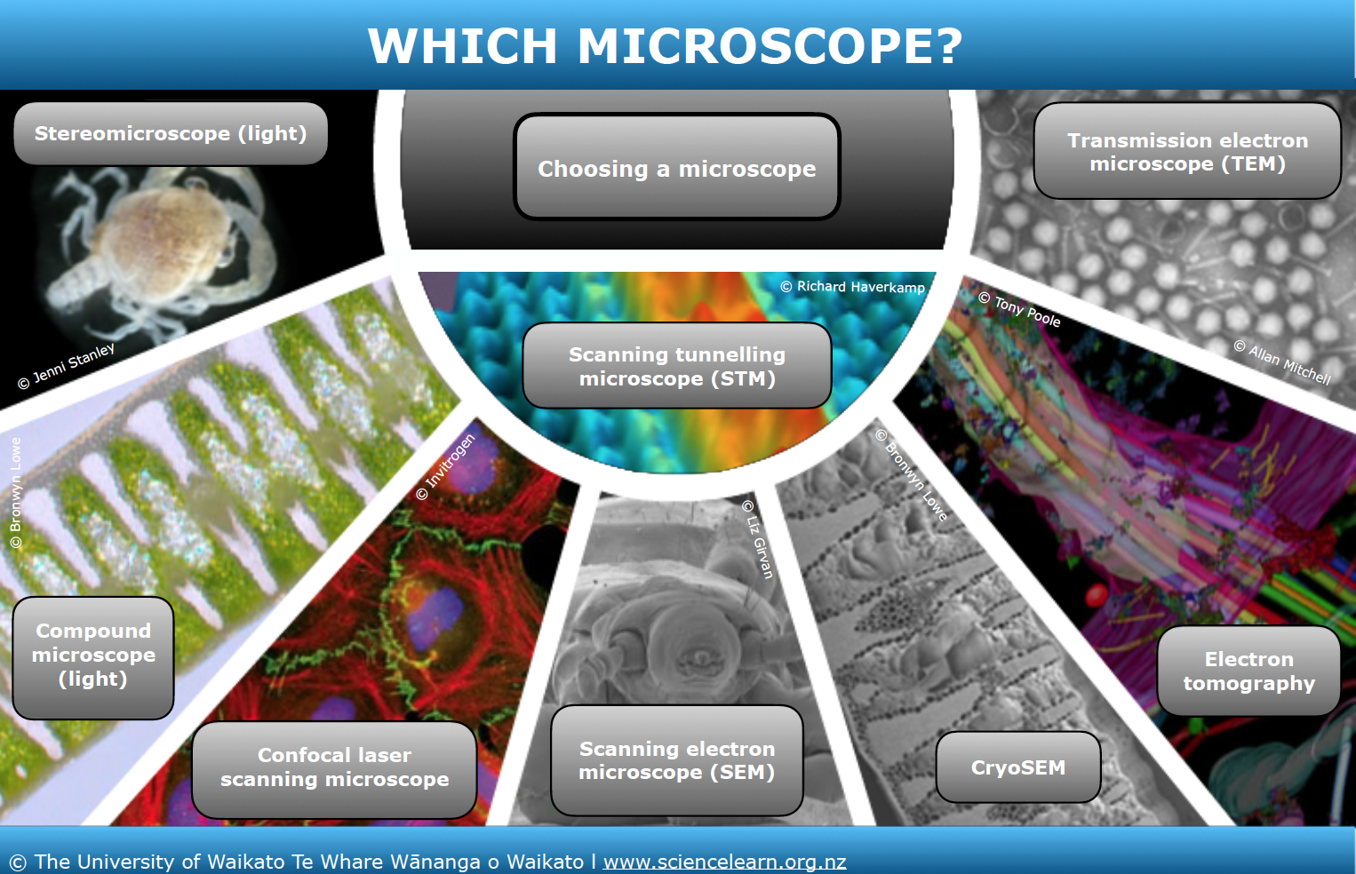 different types of microscope essay
