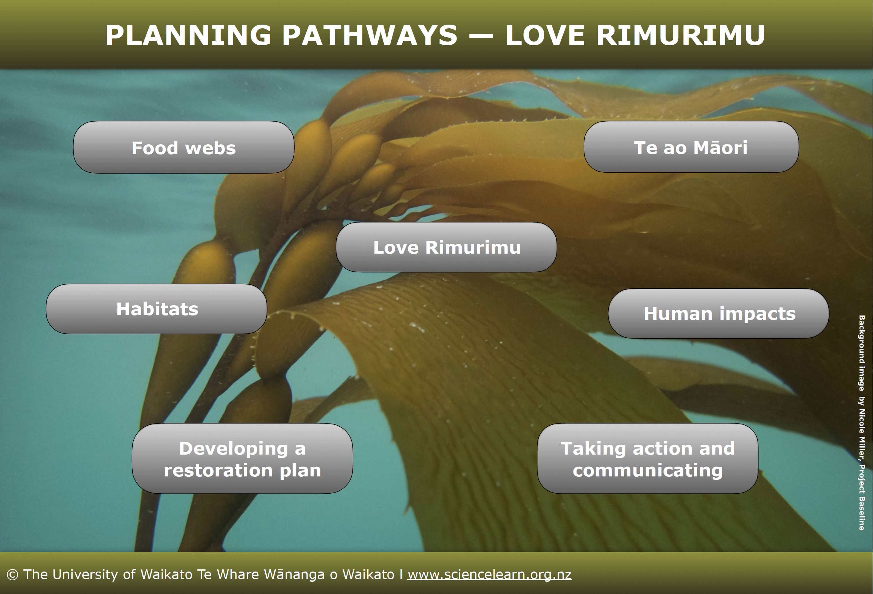Interactive image map that groups Mountains to Sea Wellington’s Love Rimurimu (seaweed) and Science Learning Hub resources into key science and teaching concepts.