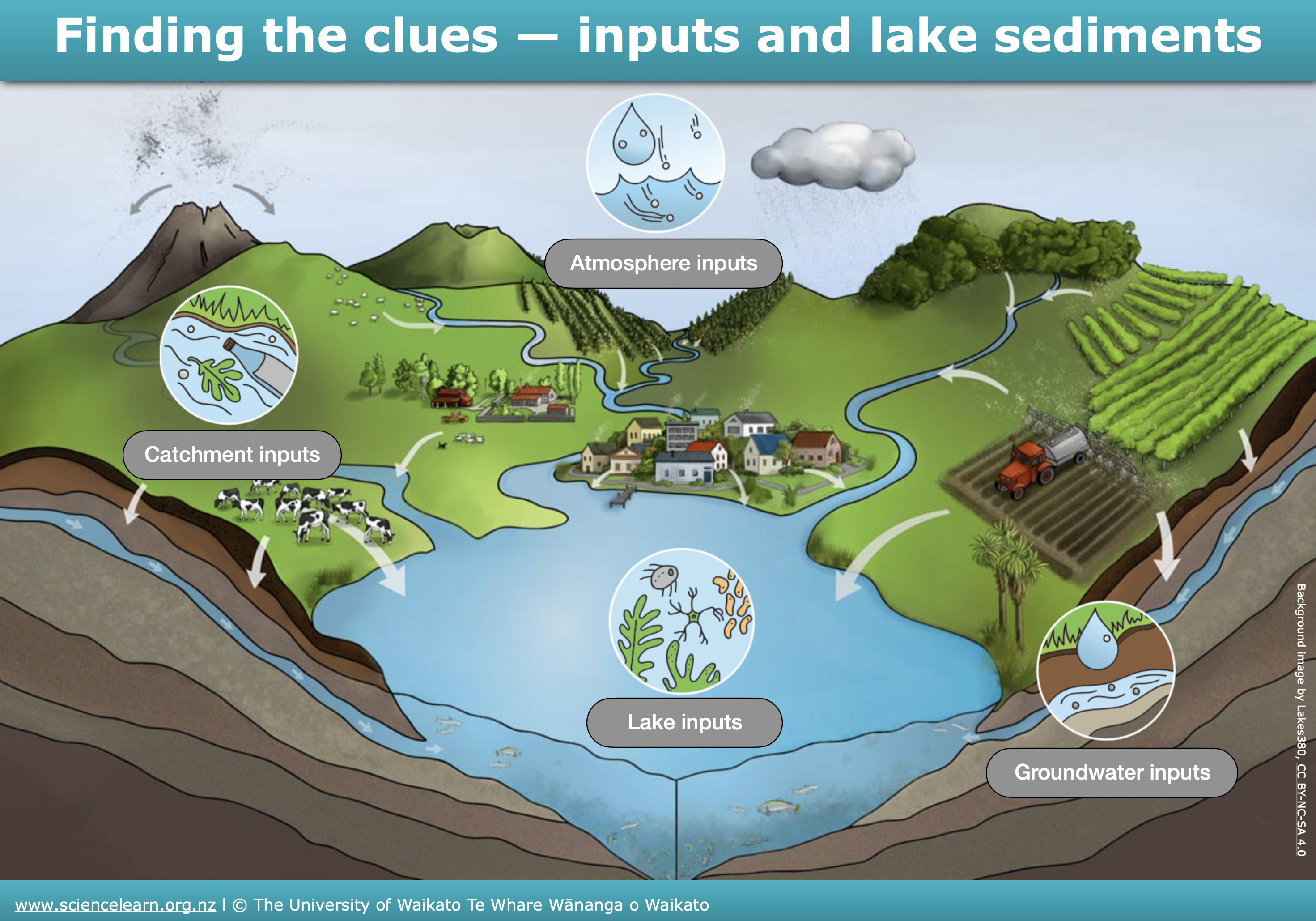 Interactive image map showing how different materials – known as inputs – make their way into a lakebed and become sediments.