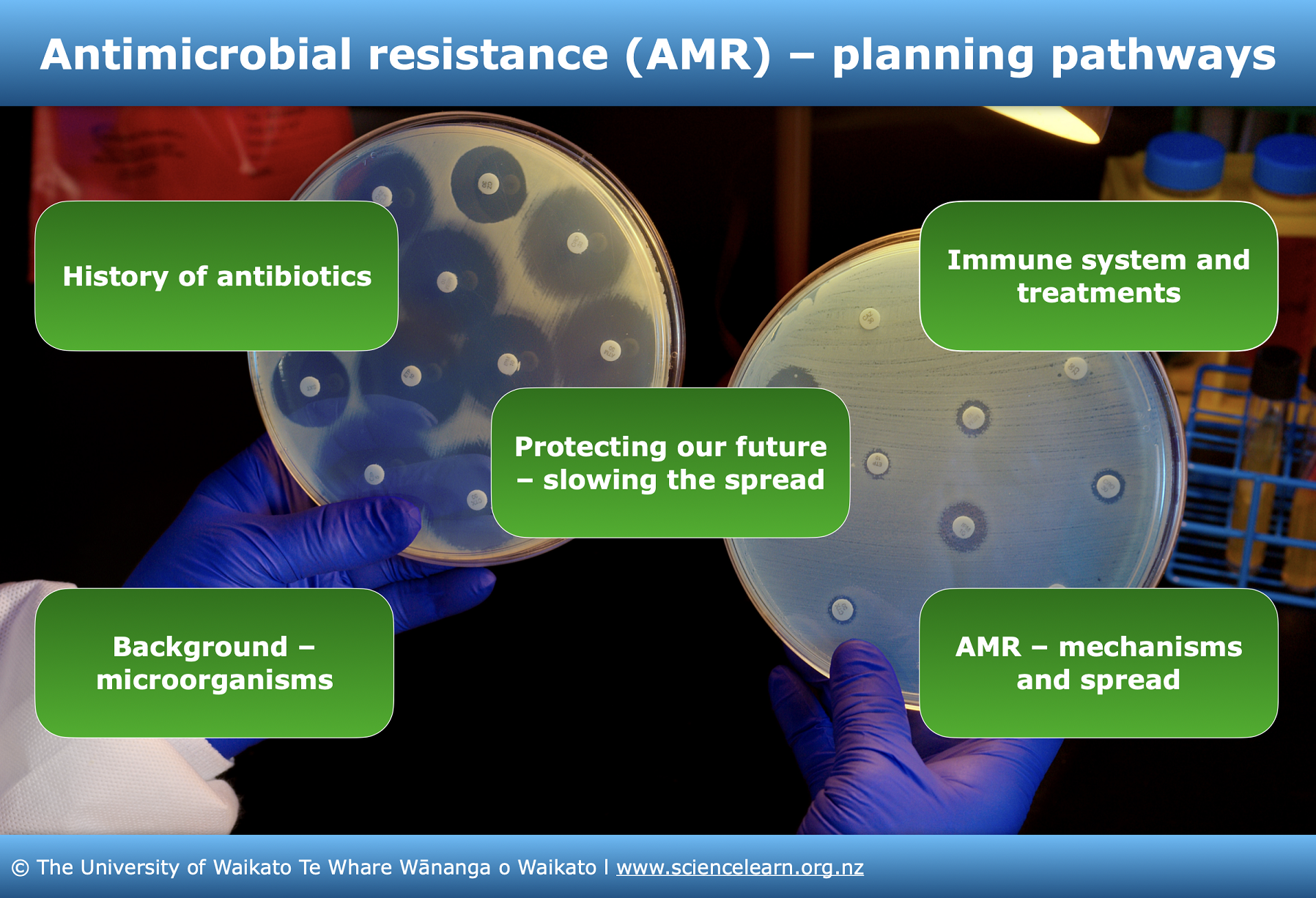 Antimicrobial resistance – planning pathways — Science Learning Hub
