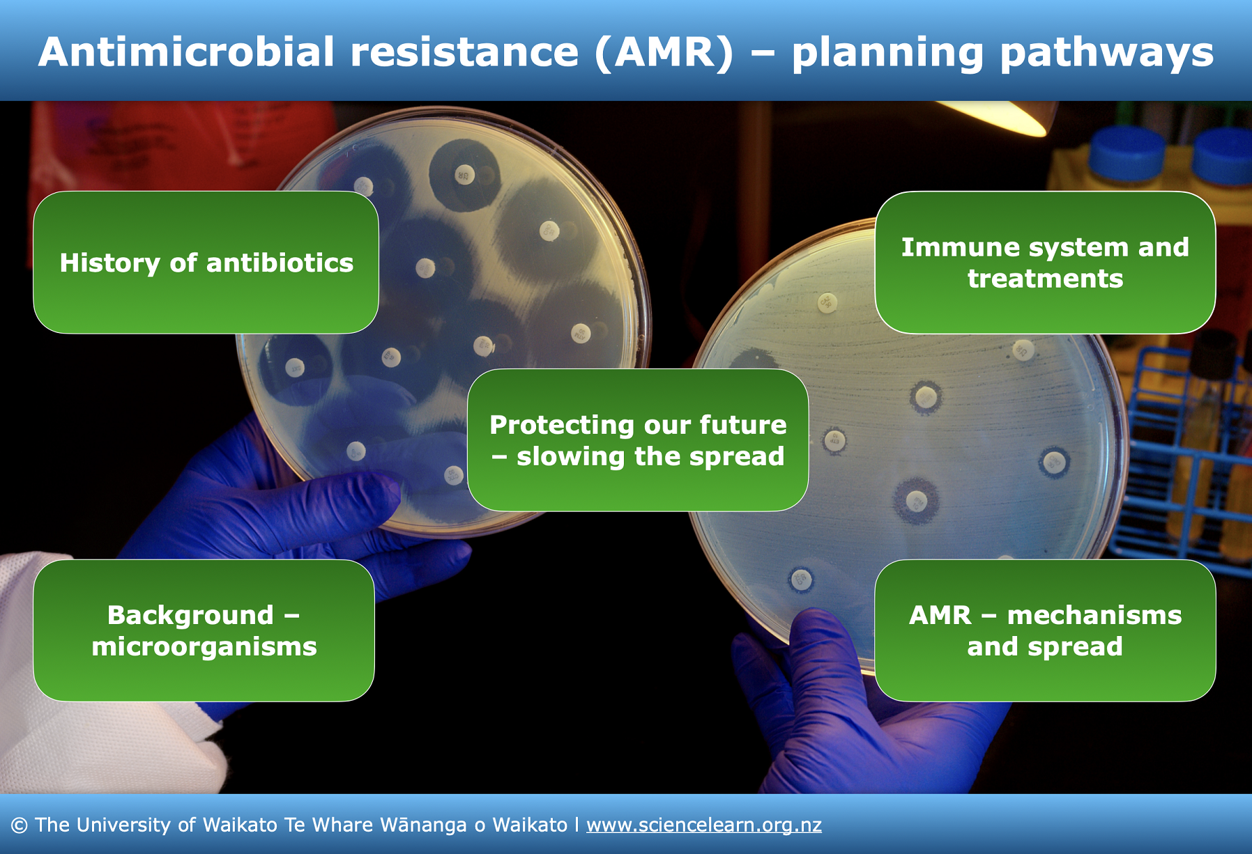 Use this interactive image map to discover a range of resources about bacteria and antimicrobial resistance. 