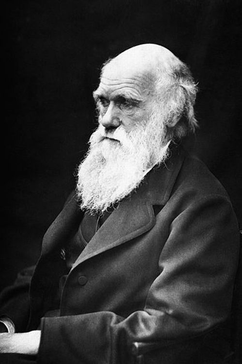 Black and white profile picture of Charles Darwin (1809–1882)