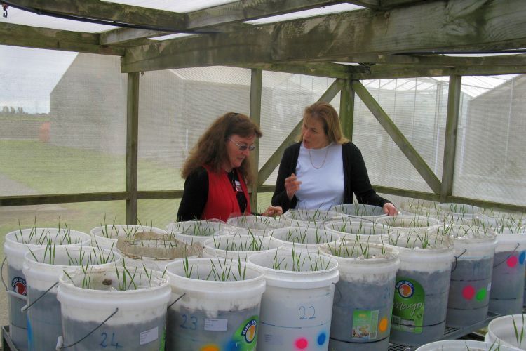 two women discussing decomposition bucket trials in a glasshouse