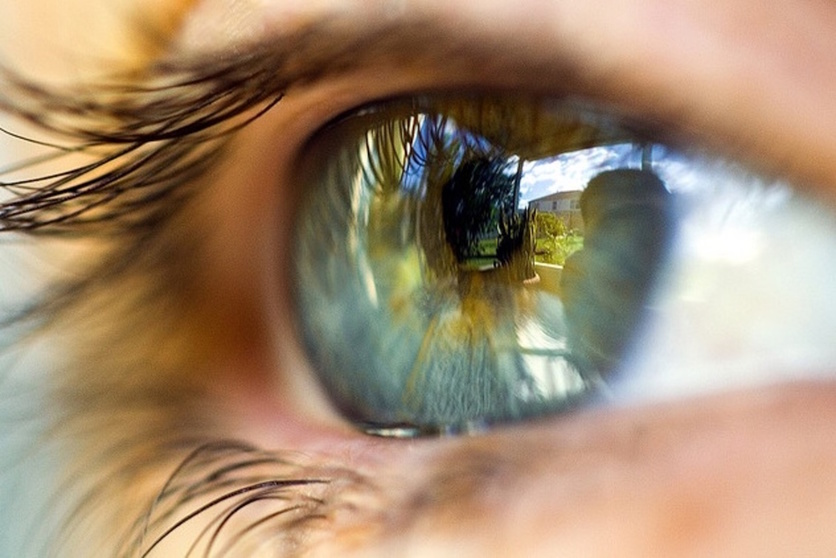 Close up image of the human eye. 