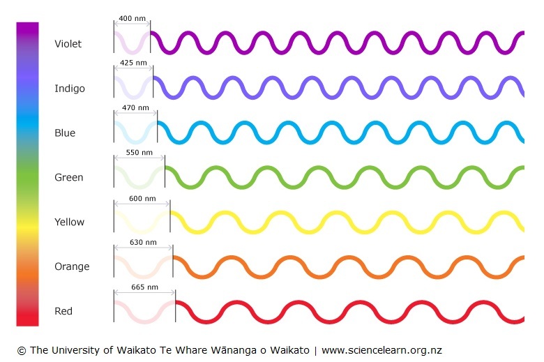 Visible spectrum showing wavelengths of each of the components.