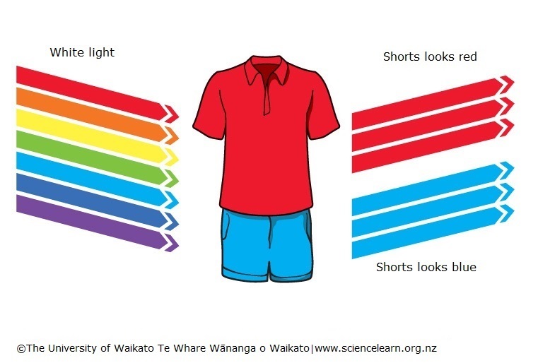 Red shirt and blue shorts and colour reflection/absorption.