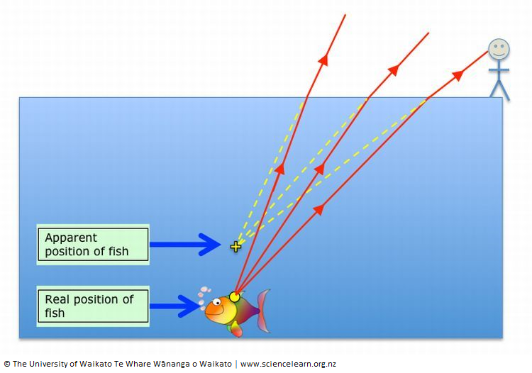 Diagram of refraction underwater using a spearfishing example.