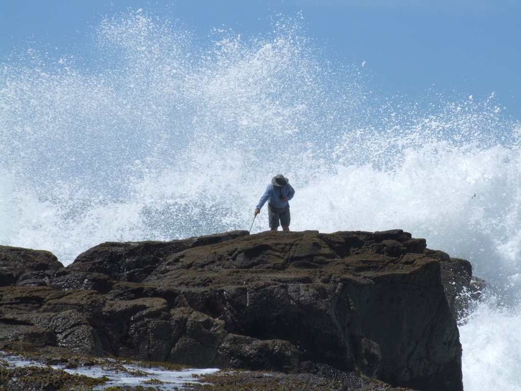 Scientist on rock, sea spray behind measuring a shore platform