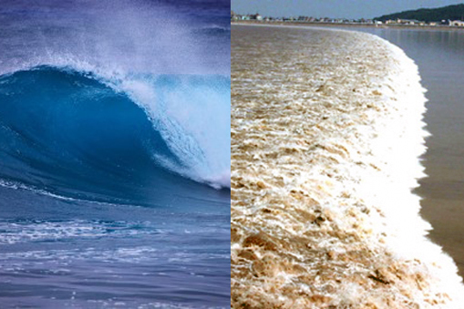 Image showing a surf wave versus a tsunami wave. 