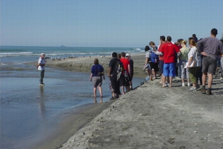 University coastal studies students on a field trip, Waihī Beach