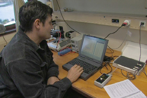 Scientist downloading sea stars (starfish) tag data to computer
