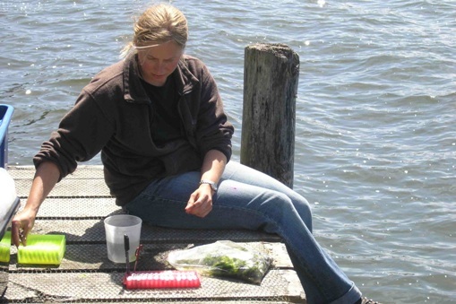 Dr Candida Savage on pier with testing equipment, Stewart Is. NZ
