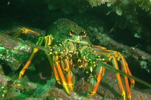 Environmental Conditions Affecting The Sea Science