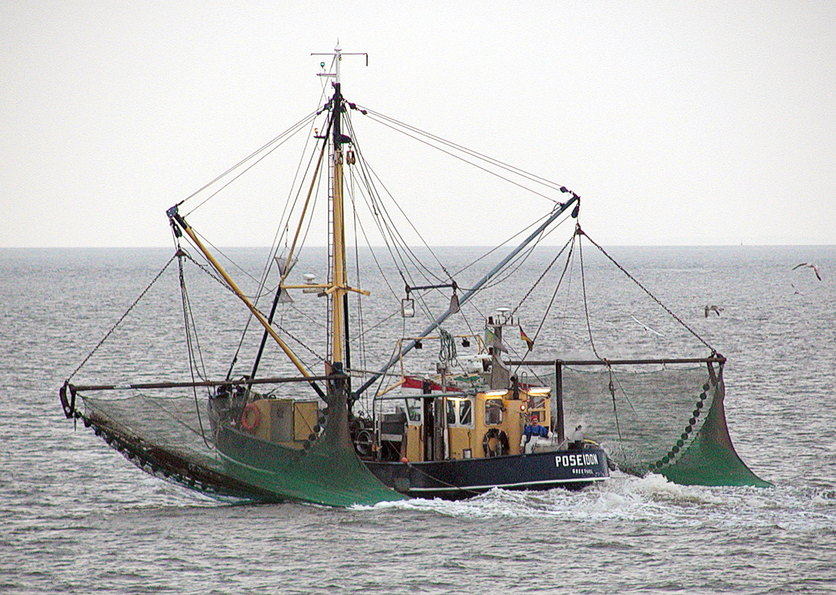 Commercial crab fishing at the Elbe River in June 2007.