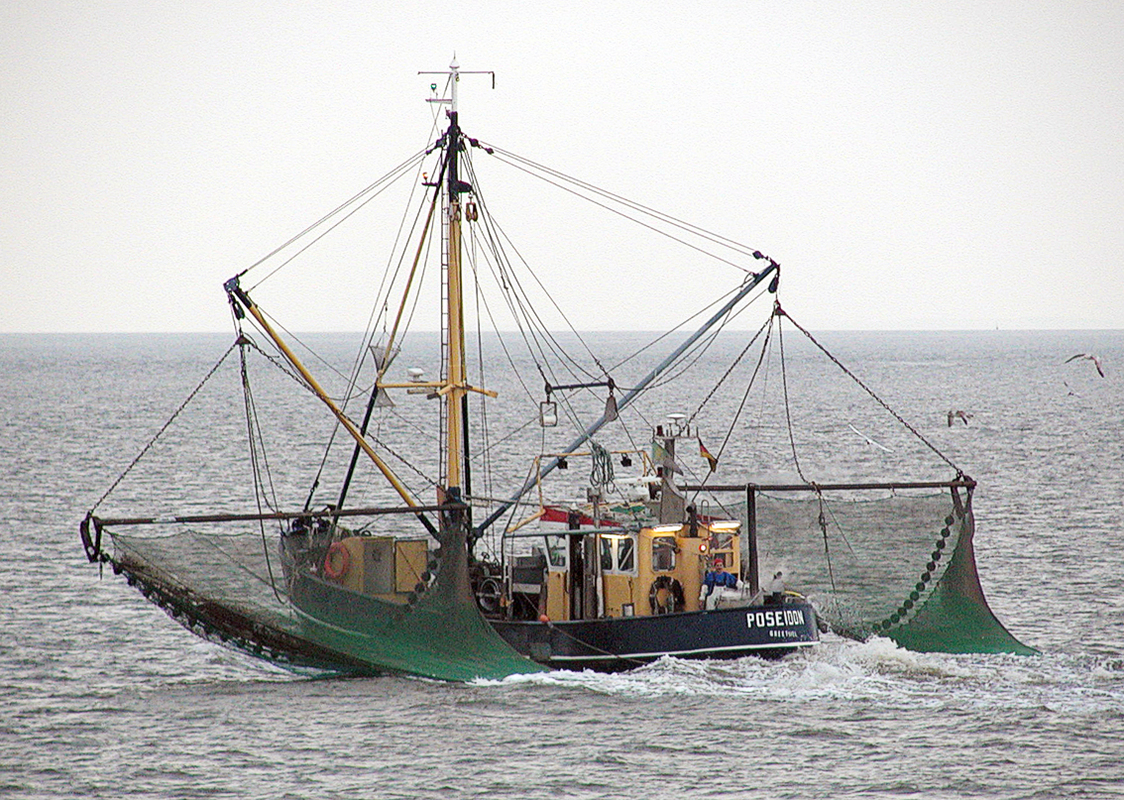 Commercial fishing boat — Science Learning Hub