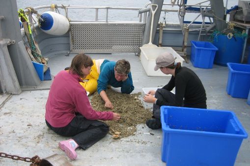 Scientists sorting through sediment samples dredged from sea.