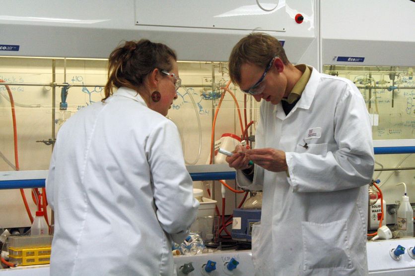 Researchers in lab at the Malaghan Institute of Medical Research