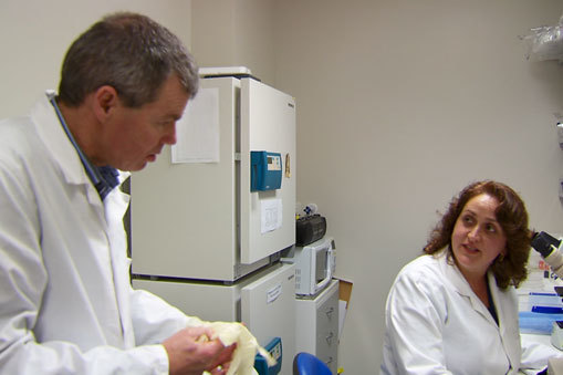 2 New Zealand scientists working in lab to develop vaccines