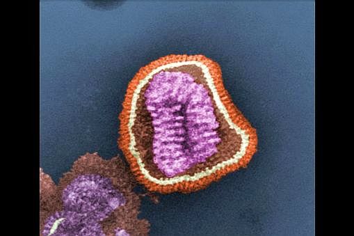 Virus image