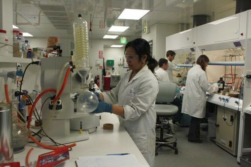 Scientists at the Malaghan Institute laboratory.
