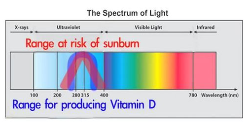 UV wavelengths of sunburn and vitamin D production diagram.