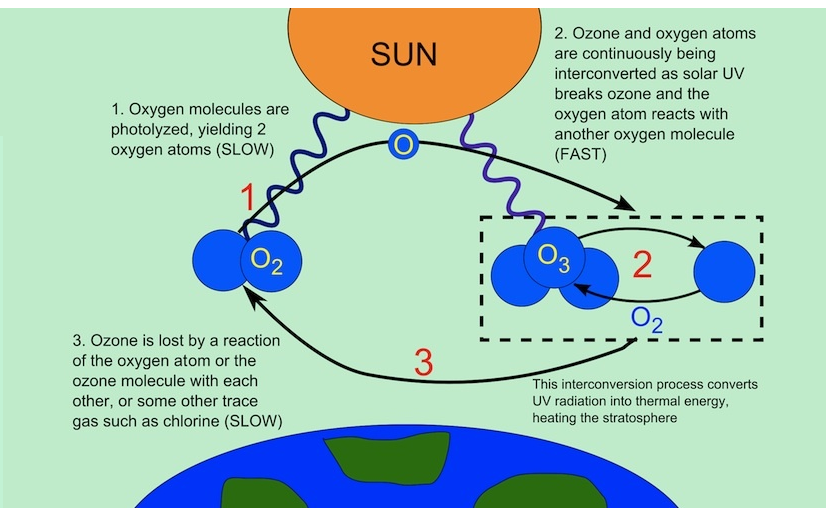 Diagram illustrating the ozone-oxygen cycle