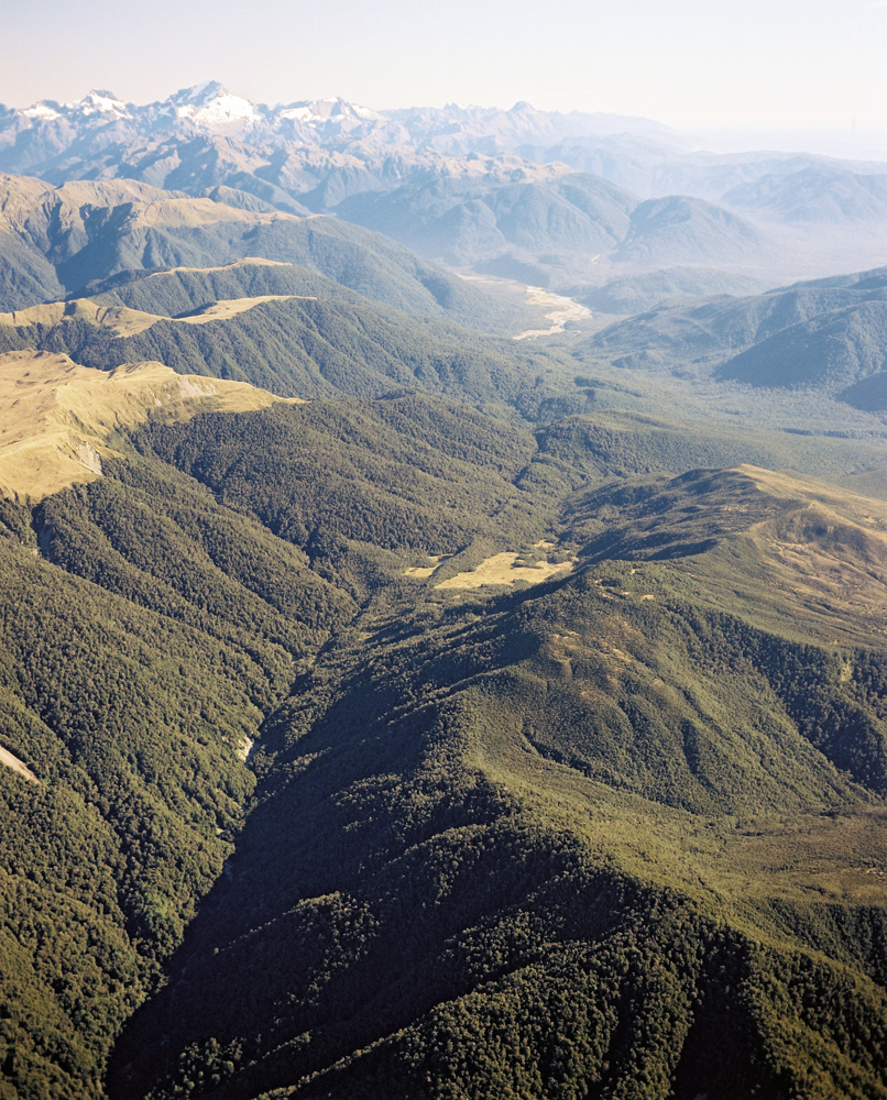 Picture of Alpine Fault
