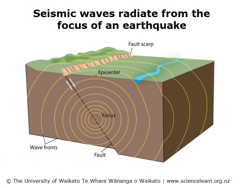 Diagram of seismic waves radiating from the focus of earthquake