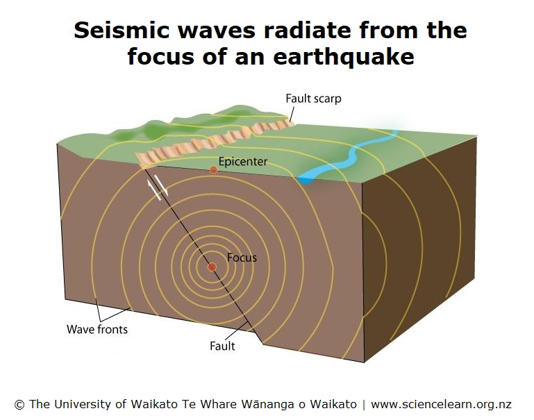 Schematic view of body waves and surface waves at the ground surface.