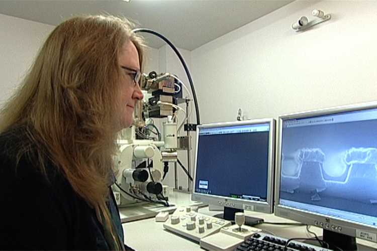 Scientists using data from a scanning electron microscope