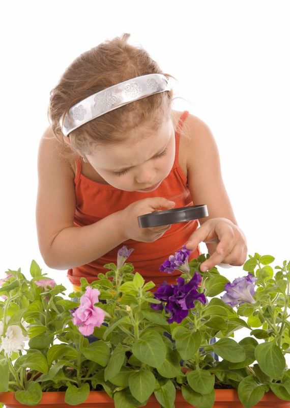 Young girl looking at a flowering plant with a magnifying glass.