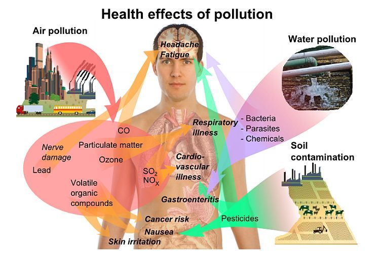 Infographic showing health effects of pollution.