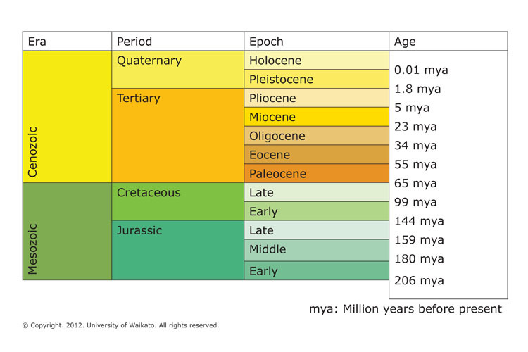 Section of the geological timescale, 206 million years ago-now